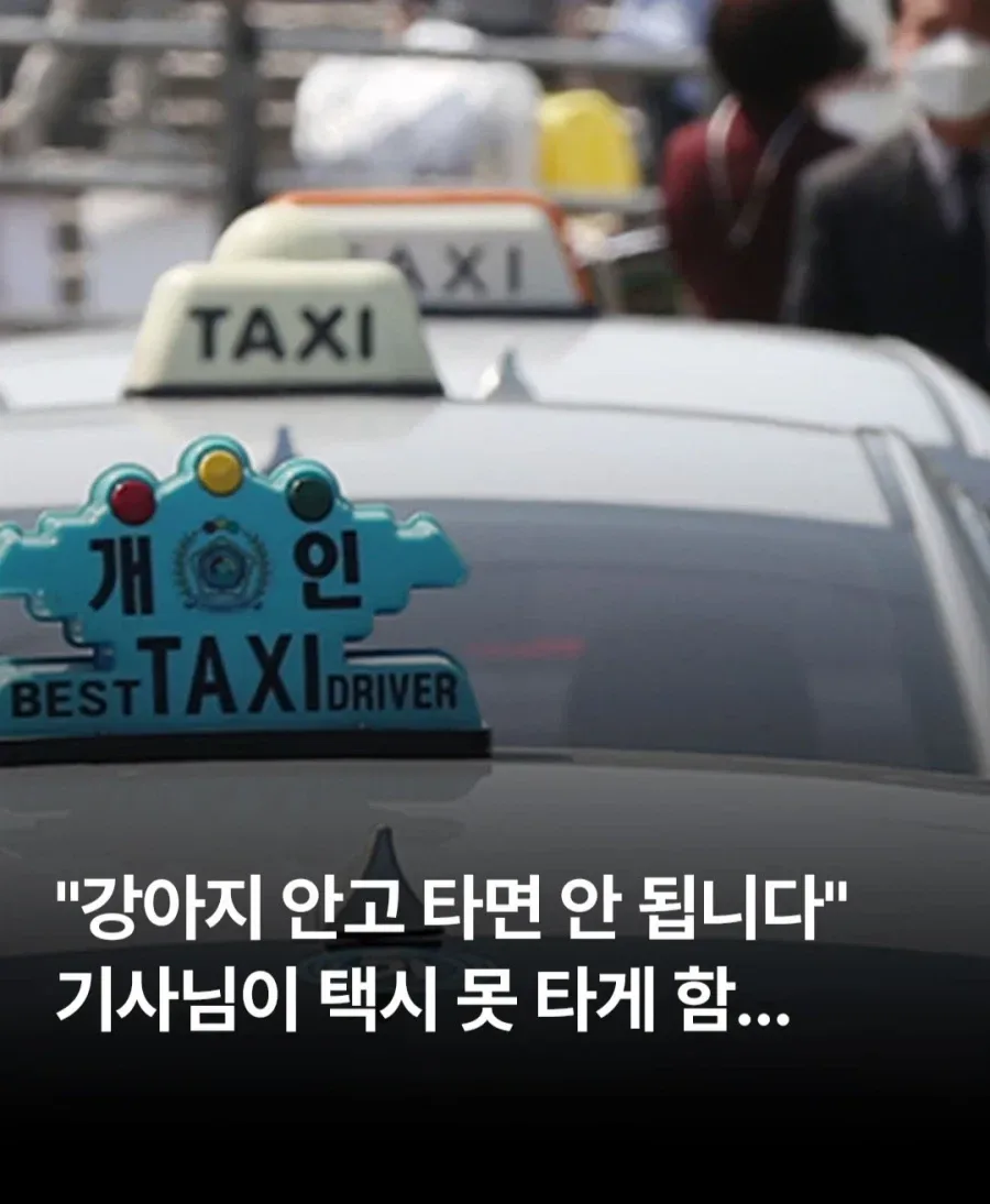 ??? : 강아지 안고 택시 타시면 안됩니다