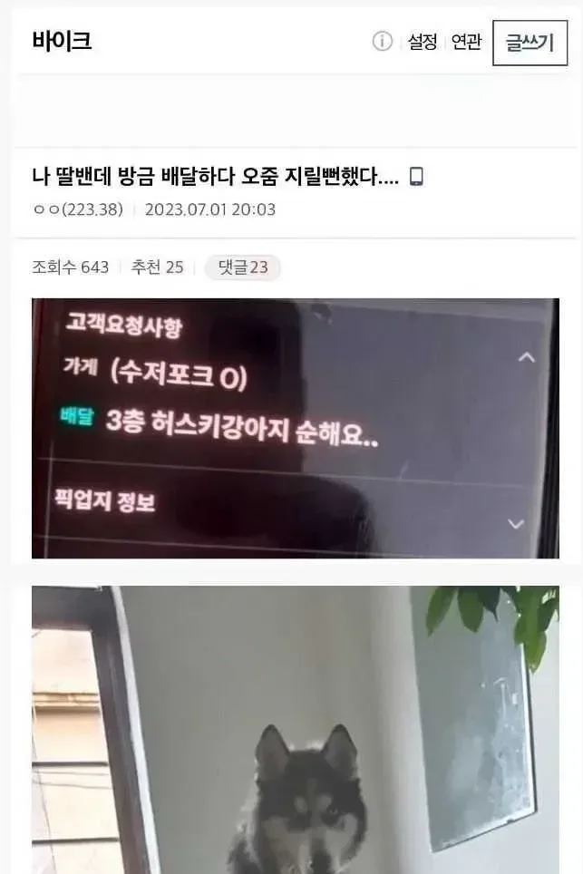 사진주의) 3층 허스키 순하다는 배달 메시지