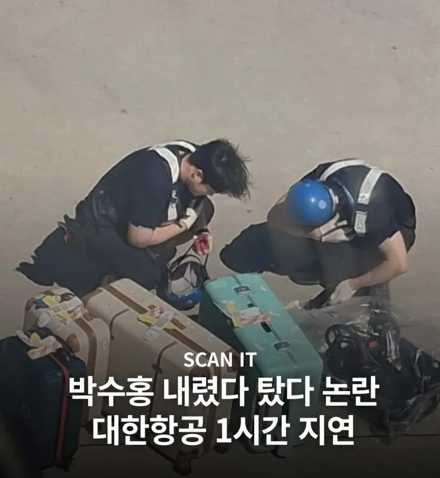 박수홍 논란