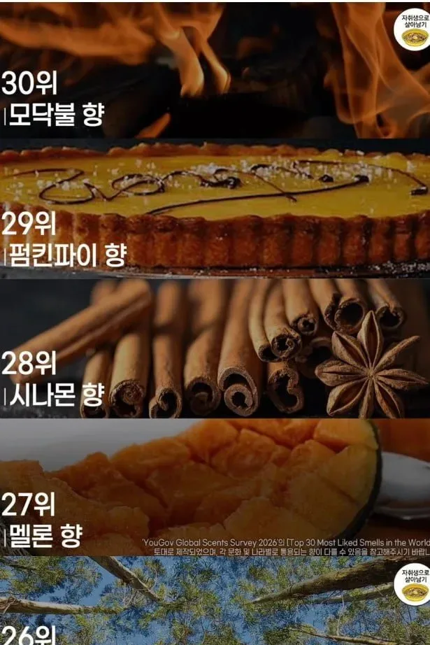 사람들이 가장 좋아하는 향 순위.jpg