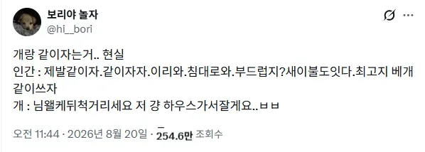 개랑 같이자는거.. 현실