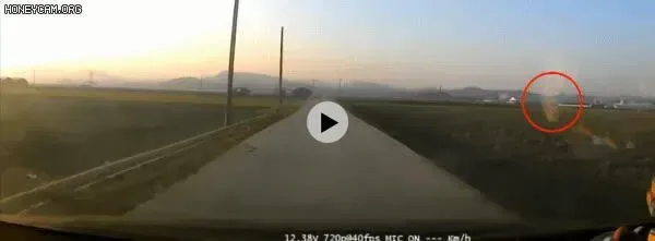 브레이크 밟으면 게이.gif