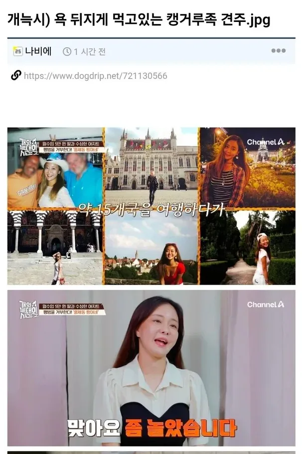 개늑시) 욕 뒤지게 먹고있는 캥거루족 견주.jpg