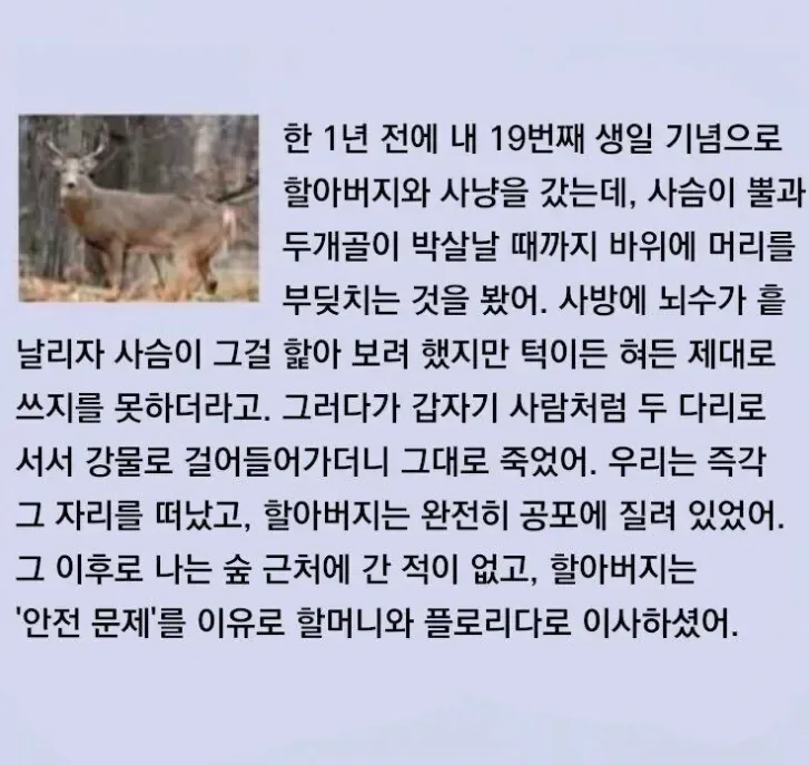 점점 퍼지고있는 사슴이 좀비처럼 변하는 치사율 100%의 광록병