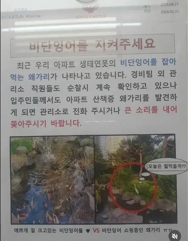 아파트 단지내 연못 대참사