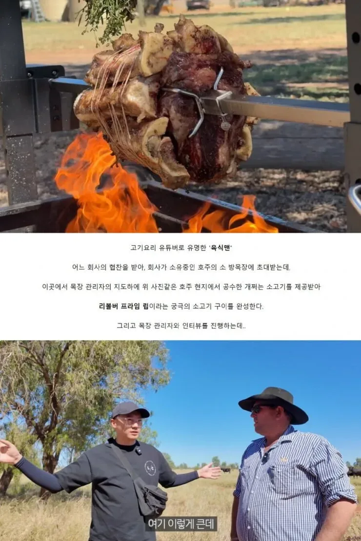 상상을 초월하는 개쩌는 호주의 방목장