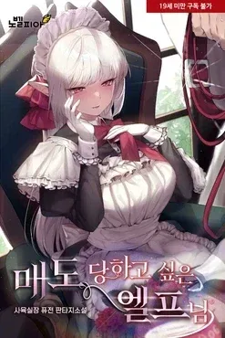 엘프 노예 소설 삭제 사건