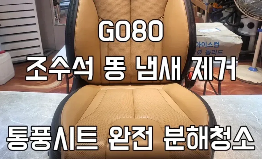 GV80 통풍시트에서 똥냄새가 나요