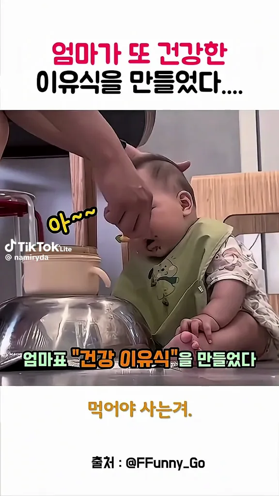엄마가 만든 건강한이유식