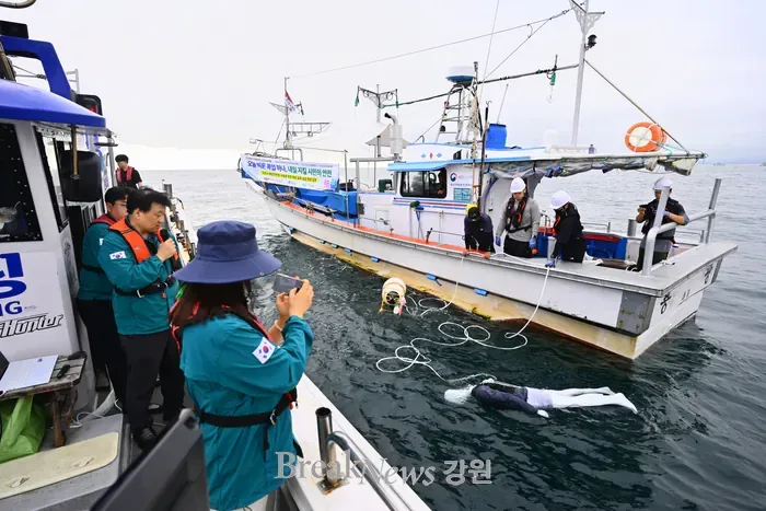 속초 앞바다에 마네킹 60개 던지는 이유