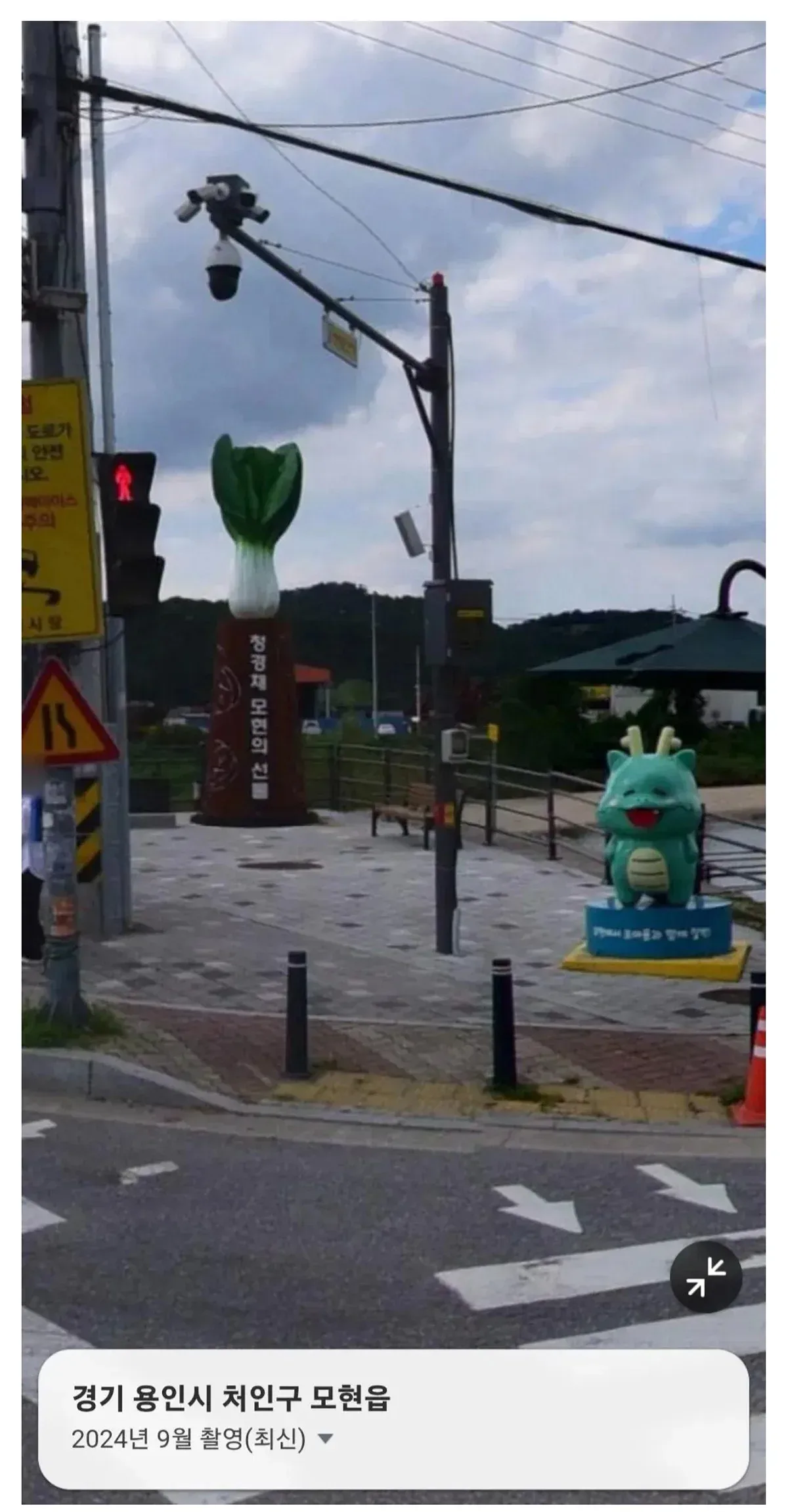 한국에 실존하는 청경채 동상
