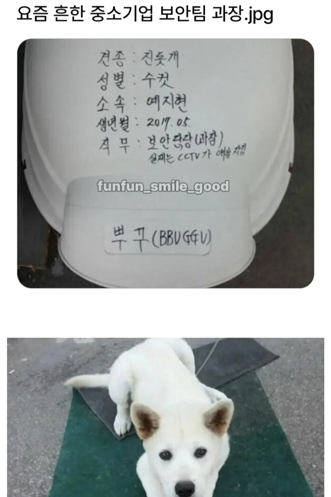 중소기업 보안팀 과장