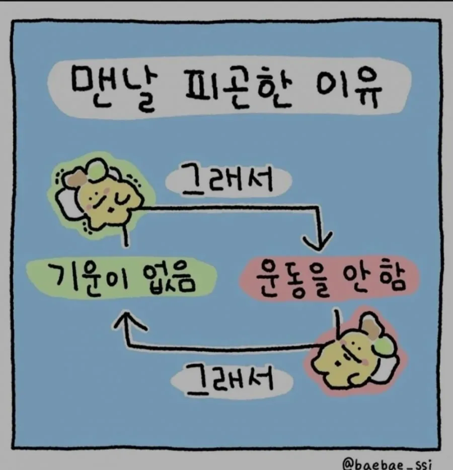 맨날 피곤한 이유