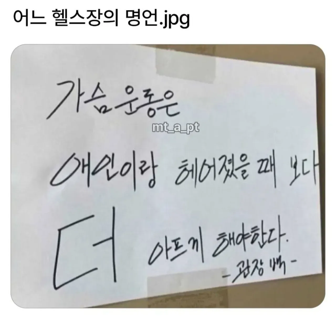 어느 헬스장의 명언