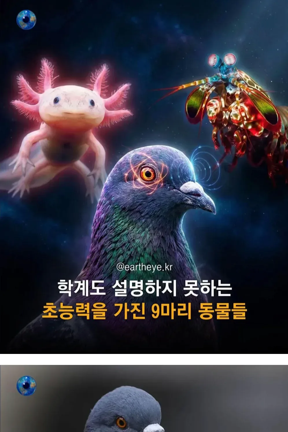 학계도 설명이 어려운 초능력을 가진 동물 9종