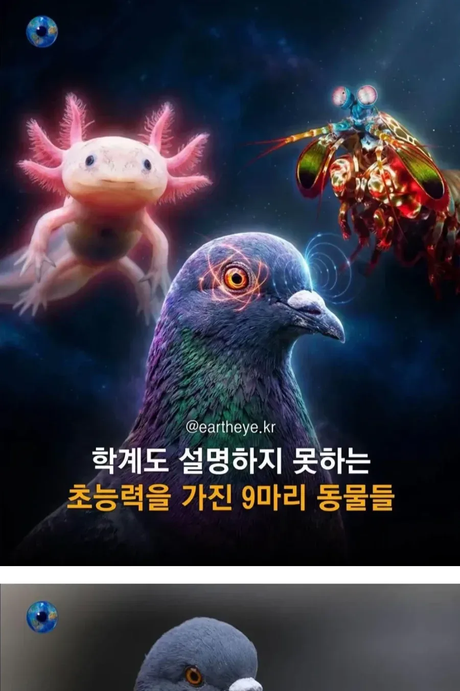 초능력을 가진 동물들