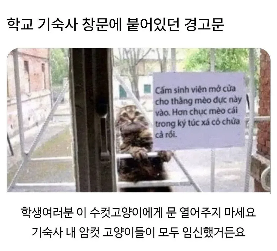 학교 기숙사 창문에 붙어있던 경고문