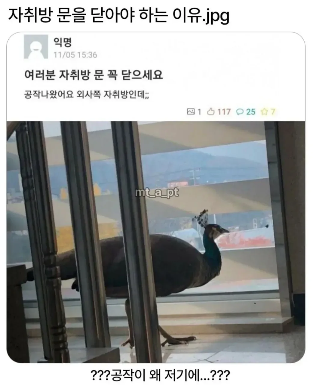 자취방 문을 꼭 닫아야하는 이유