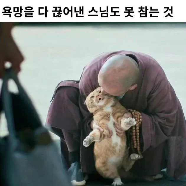 욕망을 다 끊어낸 스님도 못 참는 것