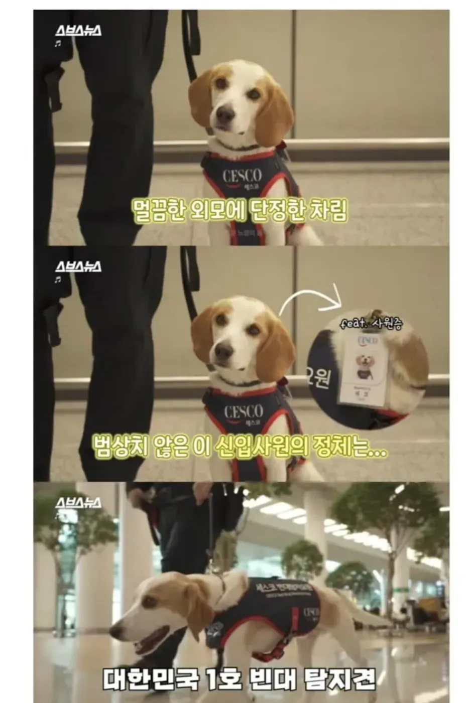 20분 일하면 30분 쉬려고 한다는 신입사원.jpg