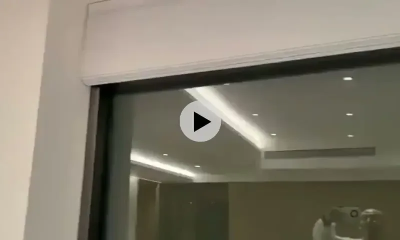 돌핀 강타한 중국 상황