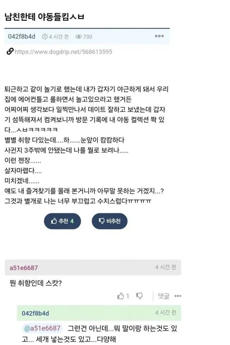 남친한테 야동들킴