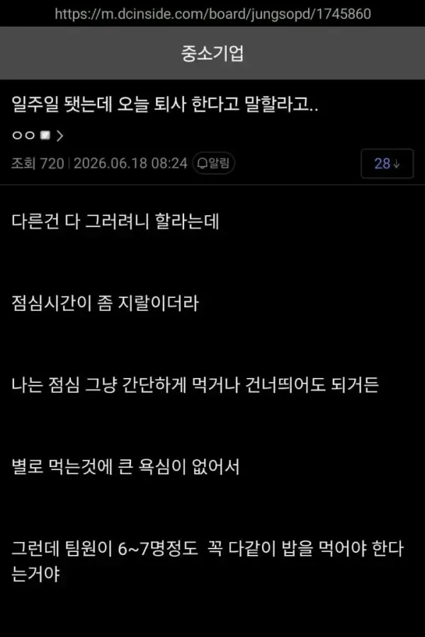 입사 일주일만에 퇴사 결심