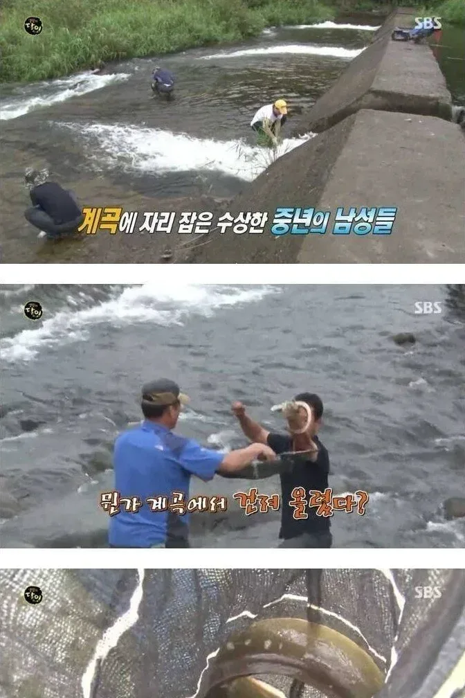 자연산 장어의 위엄