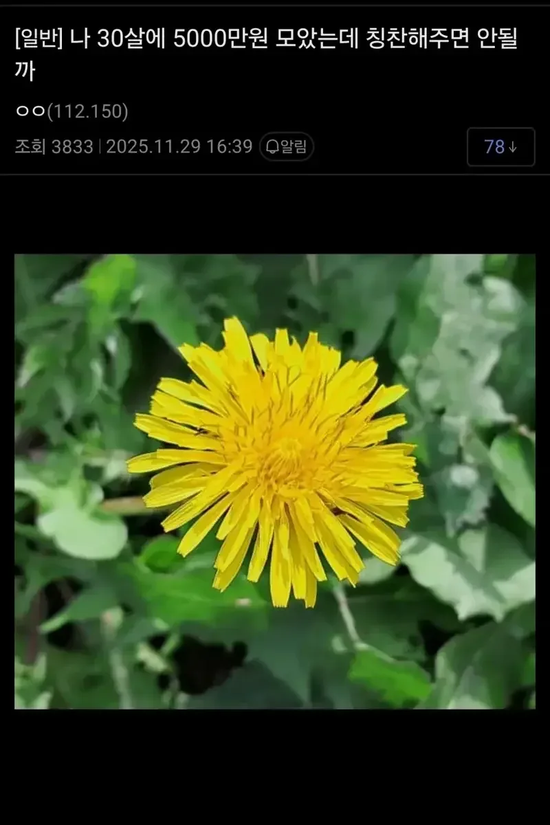 30살 먹고 5천만원 모았다고 칭찬해달라는 사람