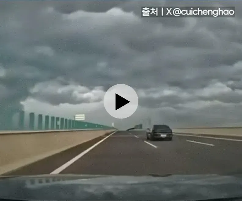중국차 근황.gif