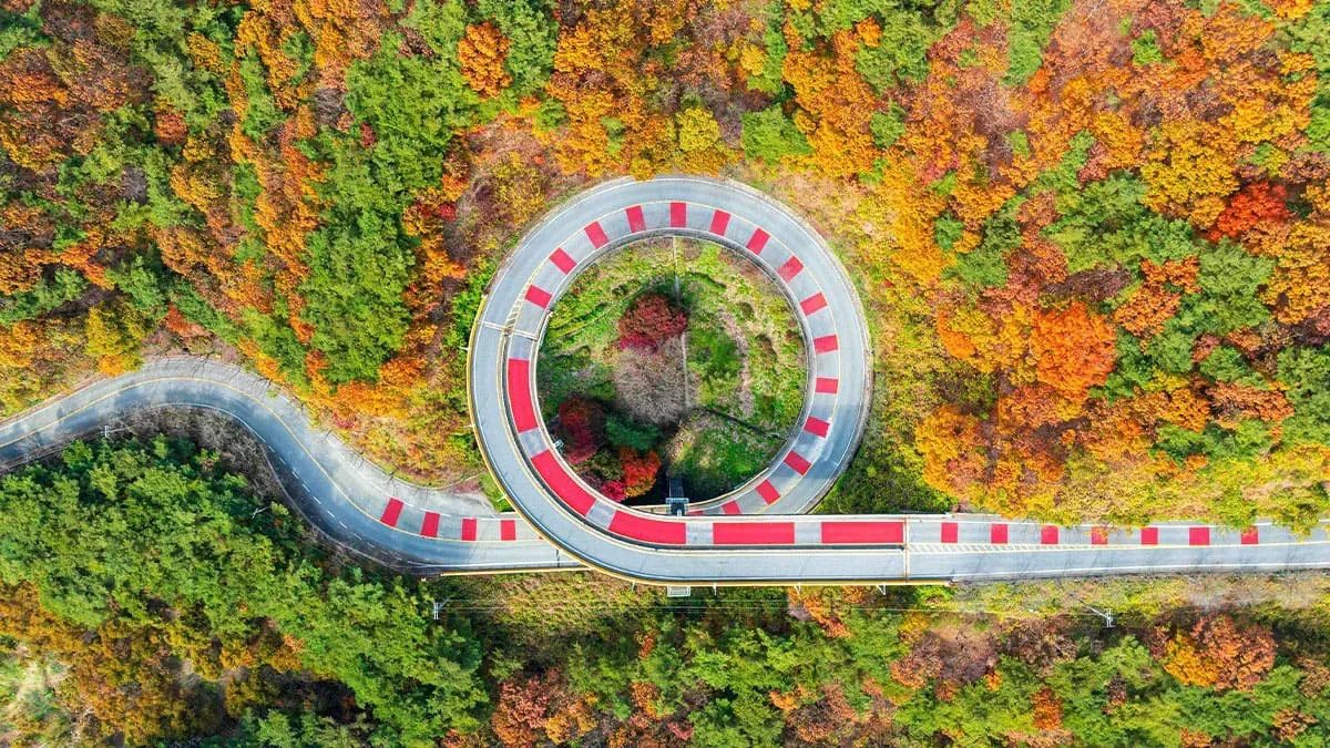 한국에 하나뿐인 도로.jpg