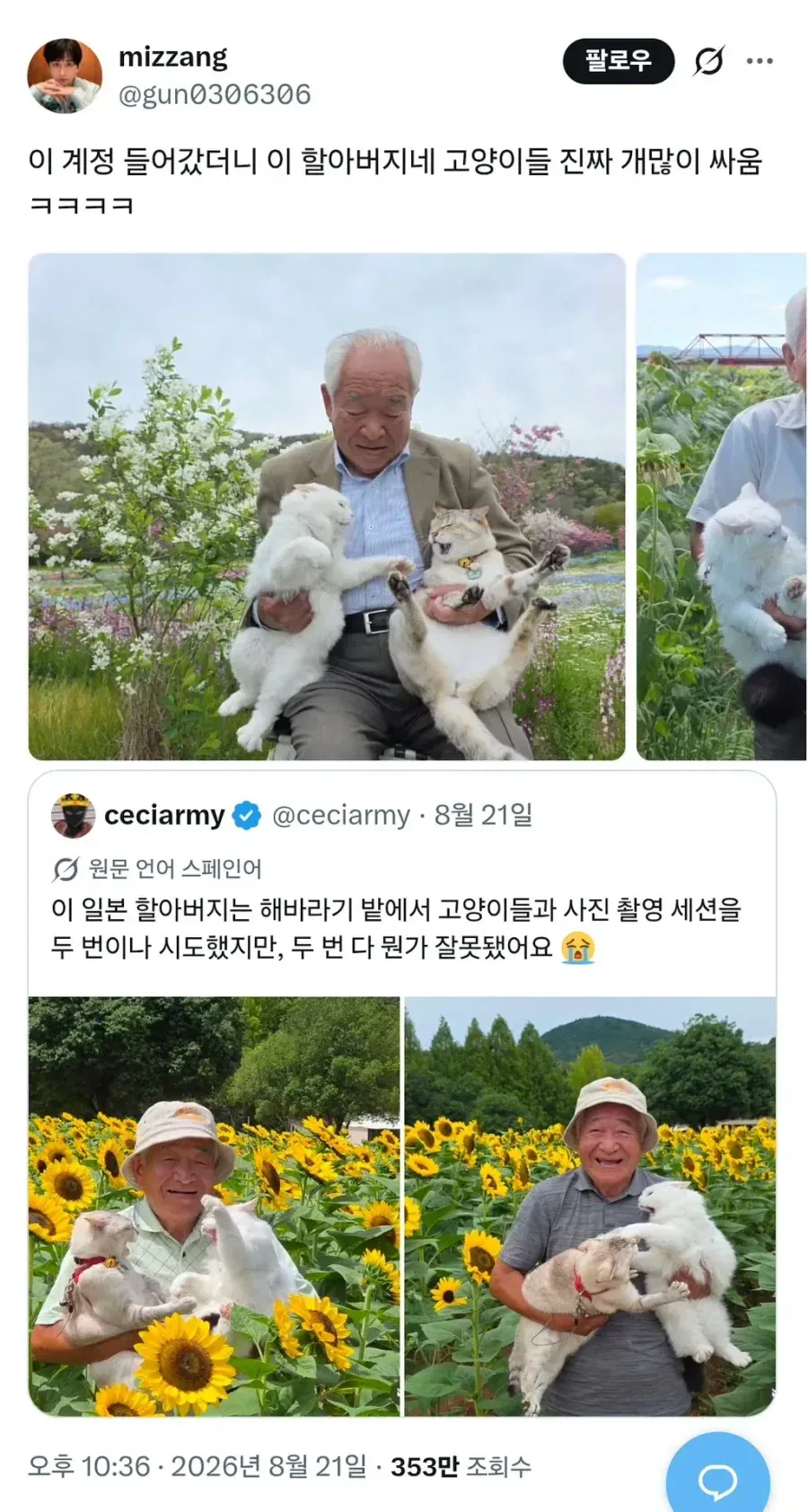이 할아버지네 고양이들 진짜 개많이 싸움ㅋㅋㅋ