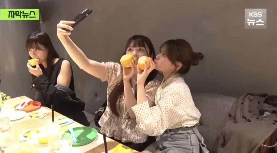 韓참외 첫섭취 日여성들