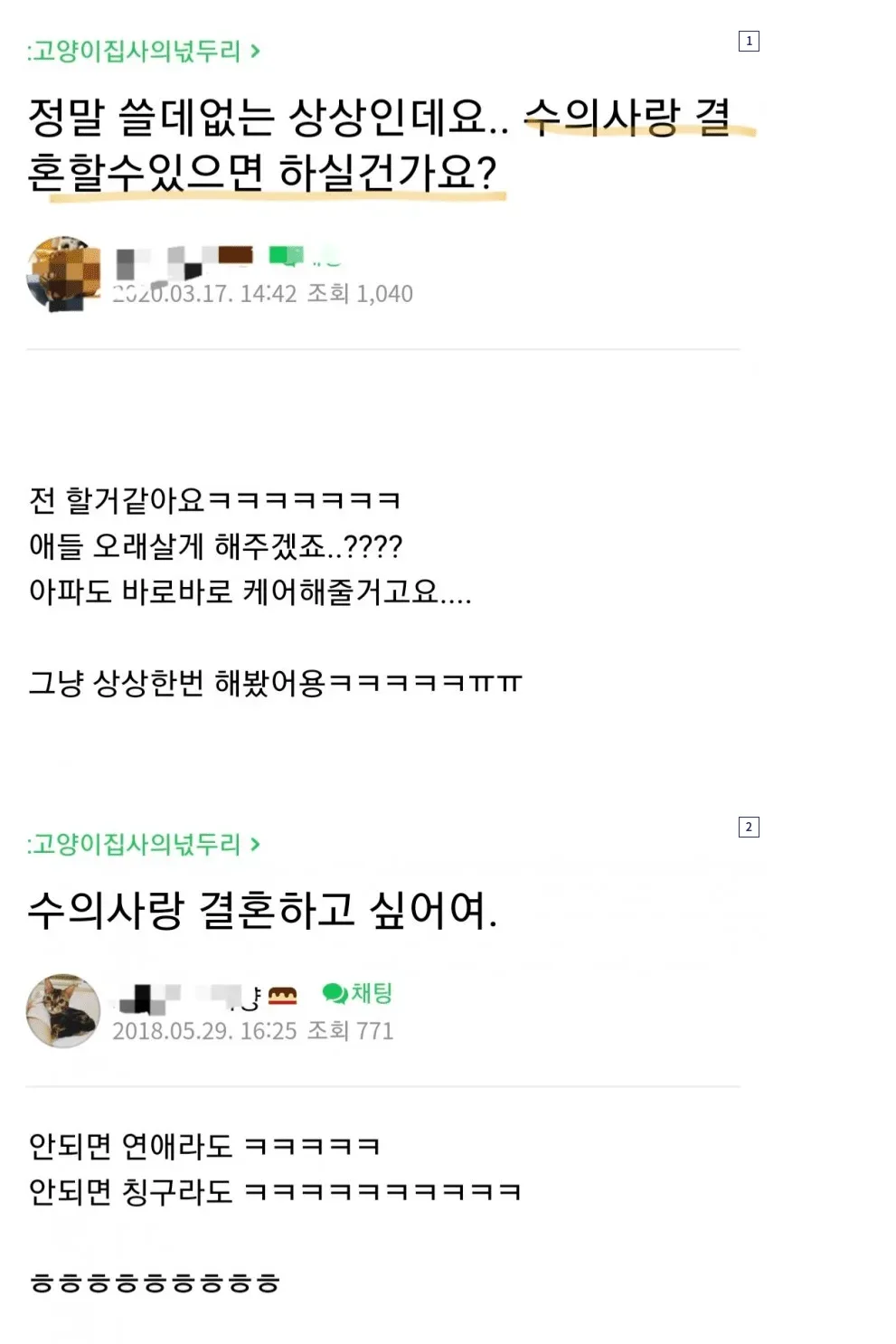 수의사랑 결혼하고 싶은 캣맘