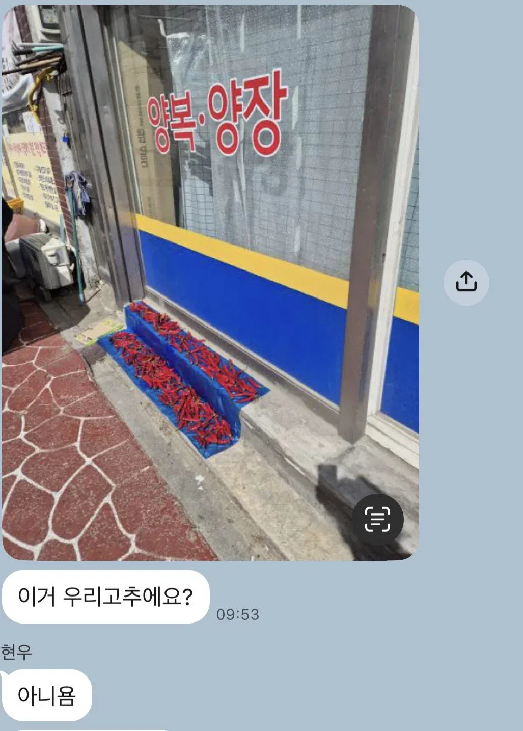 누가 우리 작업실앞에 고추말림