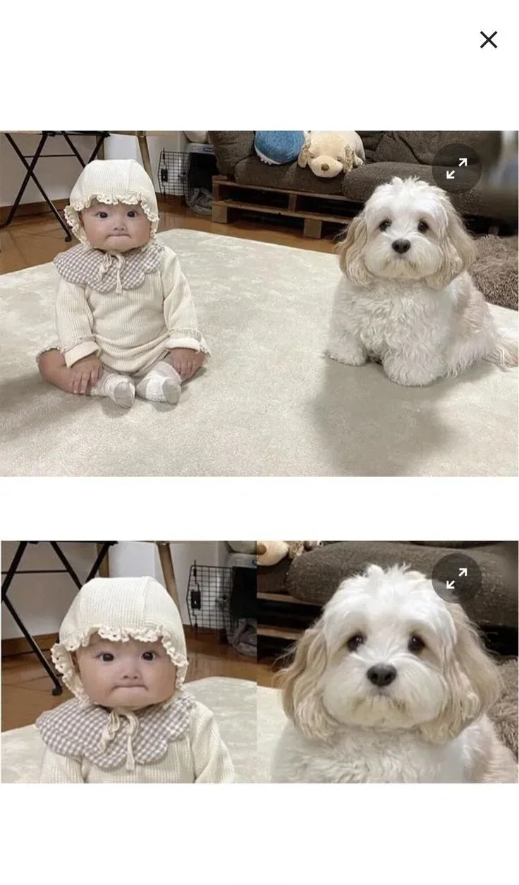 쌍둥이 처럼 닮은 주인과 강아지