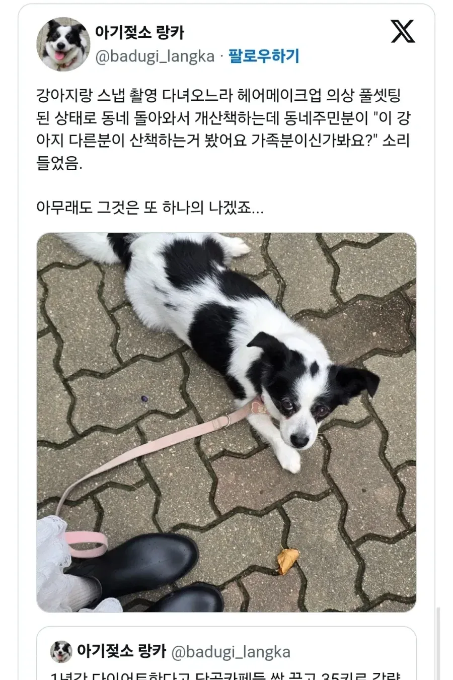 한껏 꾸미고 강아지 산책가면 생기는 일.
