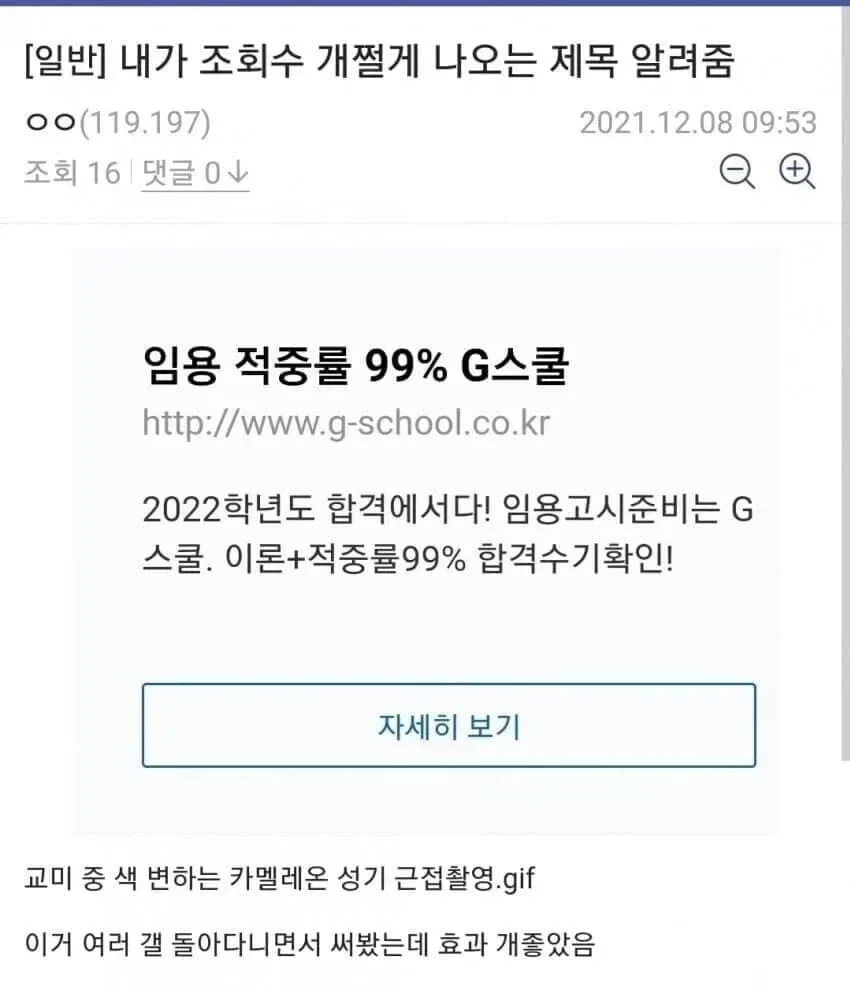 교미 중 색 변하는 카멜레온 성기 근접촬영.gif