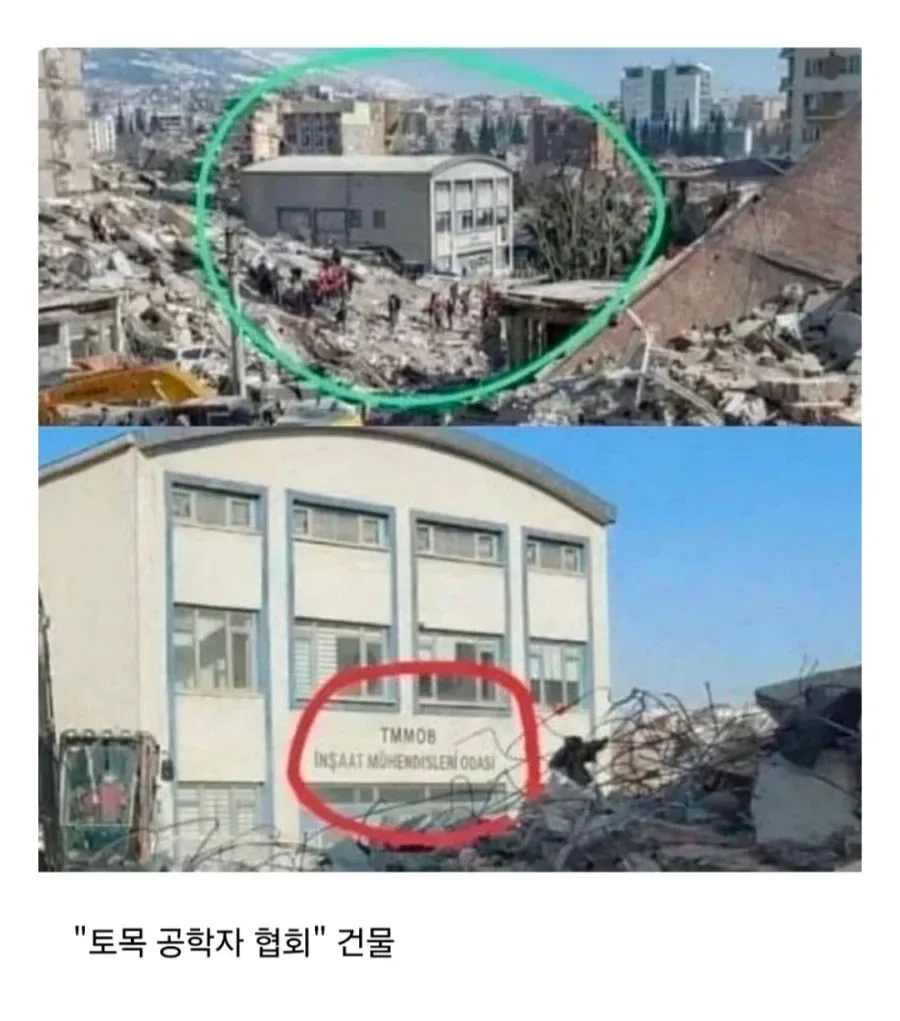 터키 지진당시 살아남은 유일한 건물
