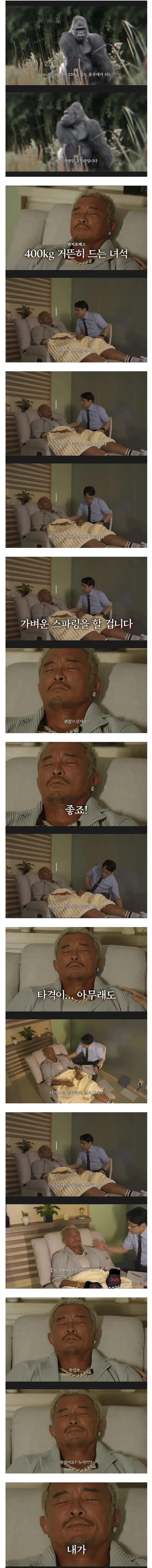 인간이 고릴라하고 싸우면 생기는 일