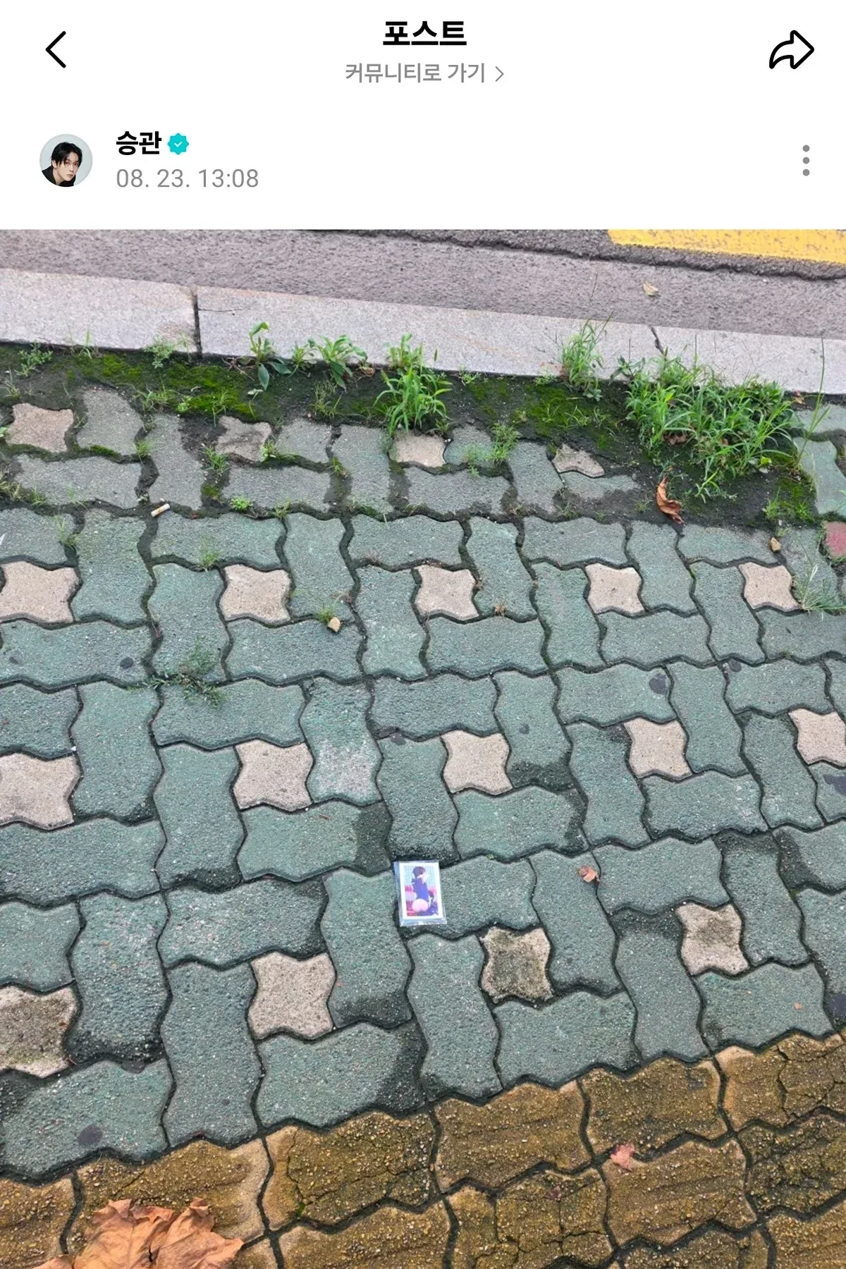 ???: 길바닥에서 디노 엉덩이 주웠어