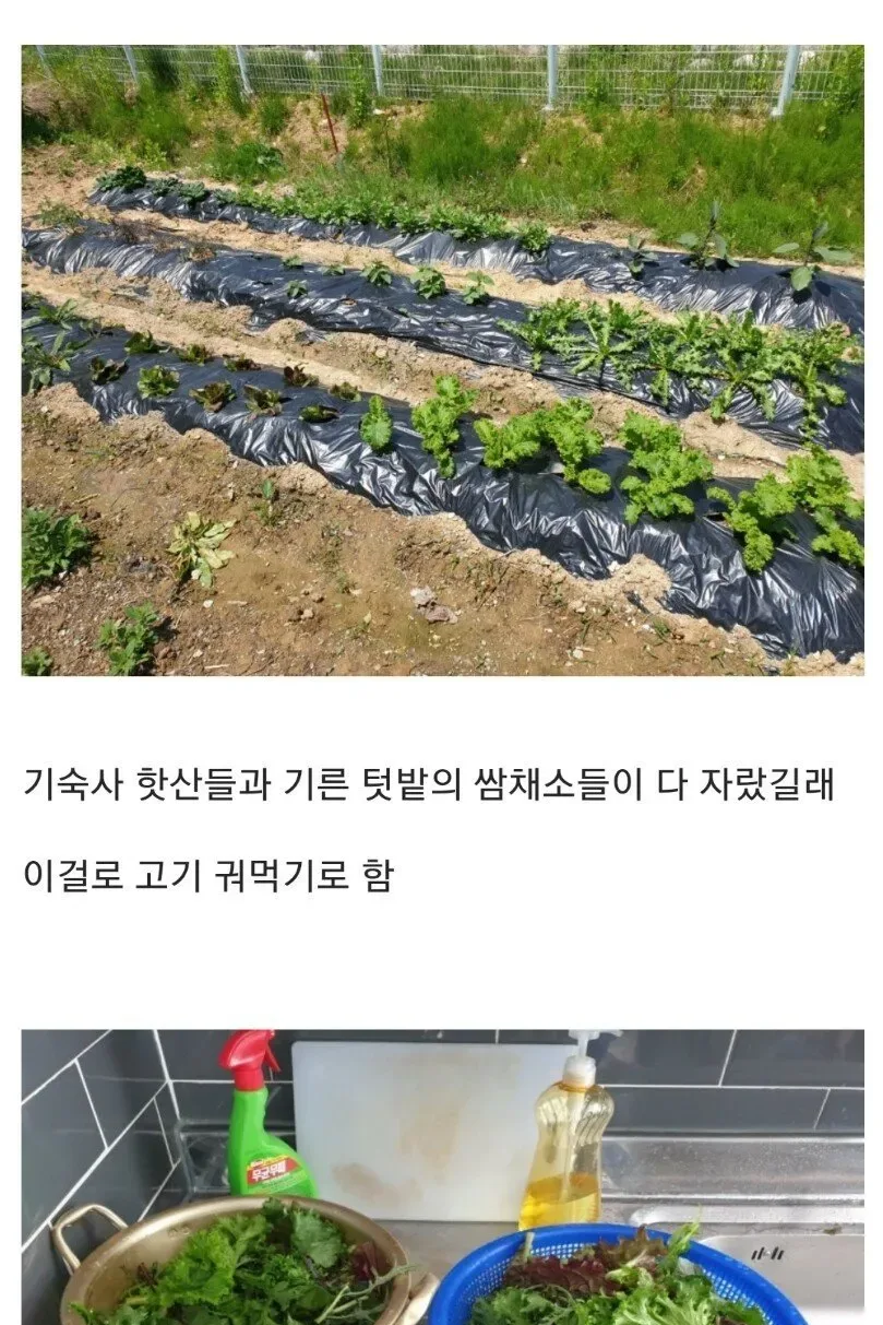 흔한 어느 ㅈㅅ기업의 회식.jpg