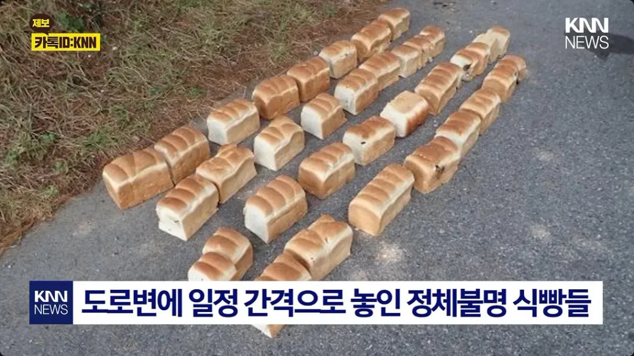 일본에서 난리난 기습 곰맘 시위