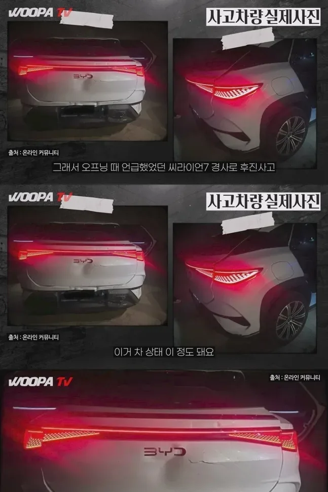 중국산 전기차의 불편한 진실