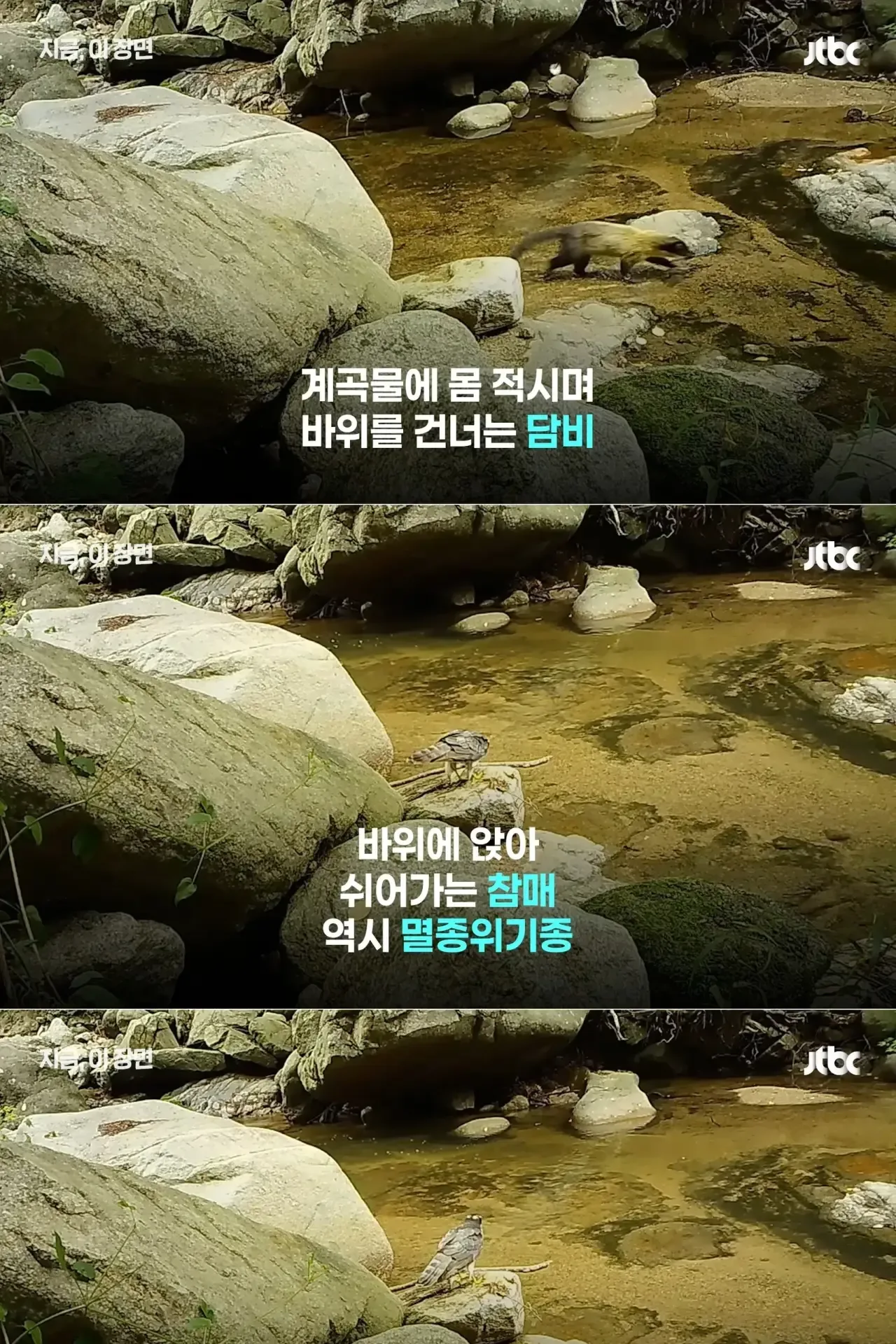 70년 무단점유 시설물 치운 팔공산 근황.jpg