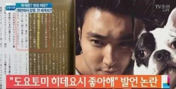 도요토미 히데요시 좋아한다는 연예인