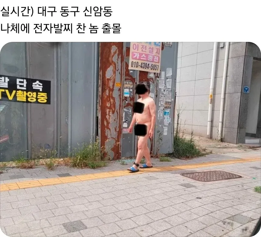 대구에서 일주일간격으로 나타난 터미네이터