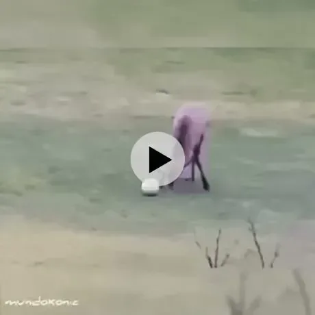 살면서 동영상 촬영이 꼭 있어야 하는 이유.