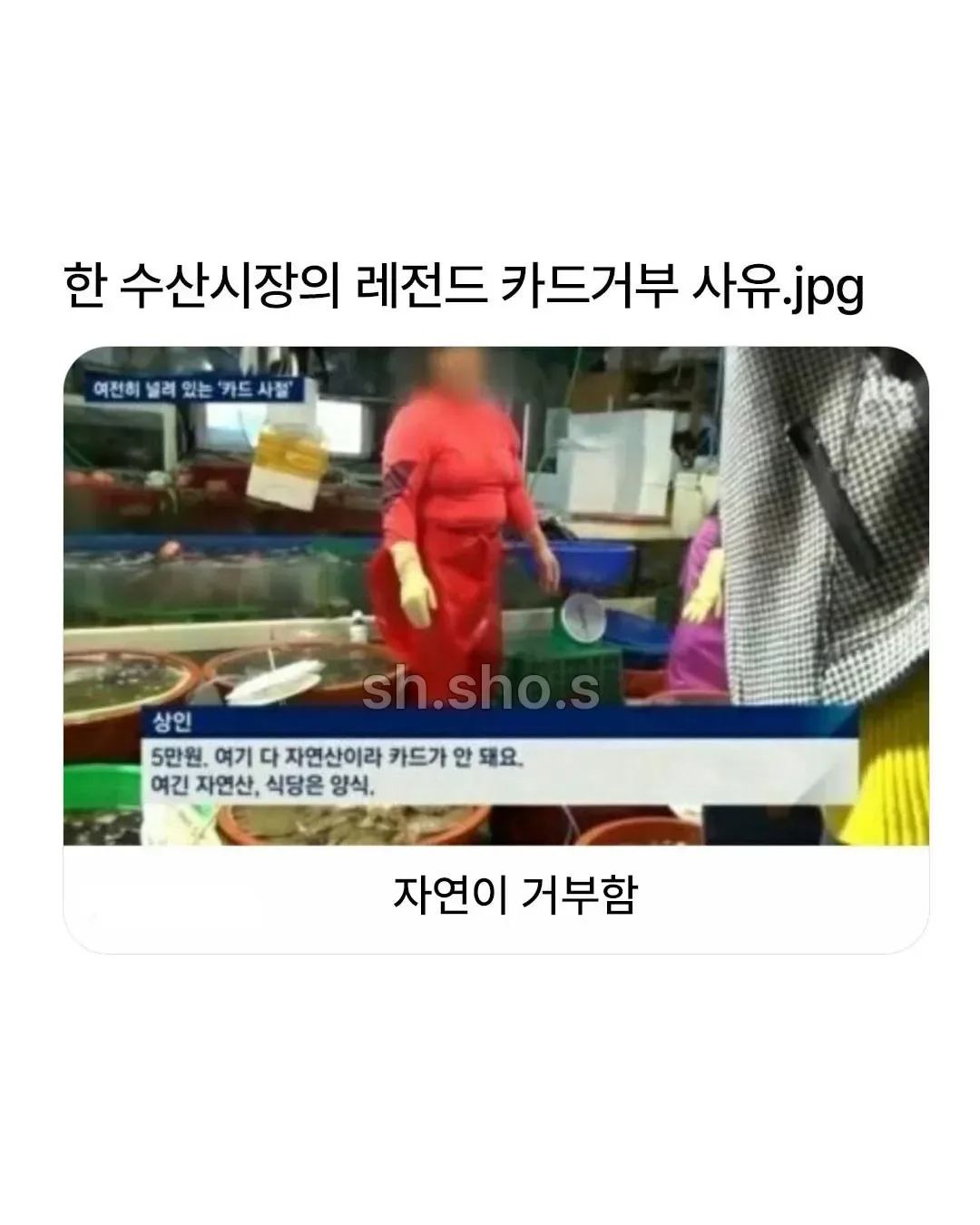 수산시장 말퓨리온