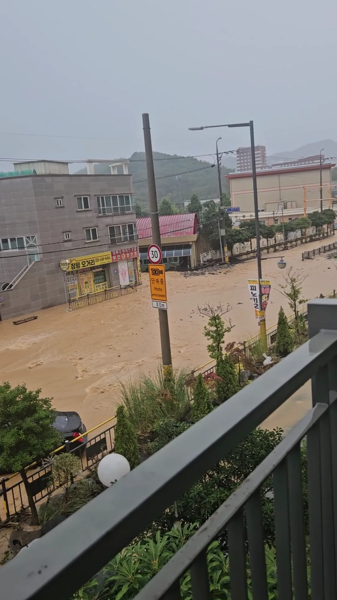 거제 근황